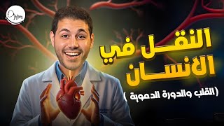 النقل في الانسان  (القلب و الدورة الدموية)  | تانية ثانوي مع دكتور هوبا