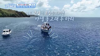 우여곡절 끝에 도착한 돌고래 포인트! 아직 무서운 희율이는 아빠 품에 꼭...🥰 [걸어서 환장 속으로] | KBS 230402 방송