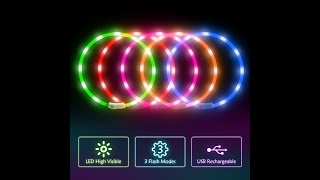 Top Popular LED Dog Collars in 2021 | BSEEN Silicone LED Dog Collar