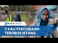 Wanita yang Todongkan Pistol ke Paspampres Telah 3 Kali Kelilingi Istana Negara, Coba Temui Jokowi