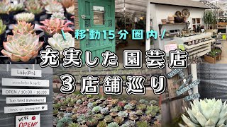 移動15分圏内で効率良く3店舗廻れる園芸店 | 多肉植物 | ガーデニング | エケベリア