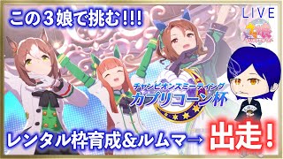 【ウマ娘】カプリコーン杯２日目出走！！！　スズカさん、ファイン殿下、キングちゃんで挑む！　レンタル枠で育成後出走！！！　ルムマもやるよ♪　まったり雑談しつつ本育成をすすめるよ