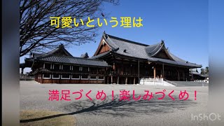 【幸せの原理】可愛いという親心を以って育てる心づかい。何をしても苦にならない心、柔軟な心、やんわりと穏やか心、その元は可愛いという親心。天理教富河分教会長別府正規、12月の月次祭講話。