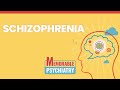 Psychosis & Schizophrenia Mnemonics (Memorable Psychiatry Lecture)