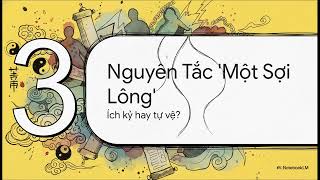 Dương Chu  Triết lý sợi lông