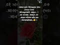 নিশ্চয়ই আমার রবই উত্তম পরিকল্পনাকারী💐💚 reels reelsvideo islam islamicvideo flowers reel2023