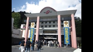 日光カステラ本舗のカステラ。バス旅行で出かけた日光でお土産に購入しました。【信天翁（あほうどり）の人生いろいろ】