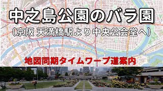 【中之島公園＋GPS】都会のオアシス、大阪市北区にある中之島公園のバラを見に行きました。地図と連動(同期)させたタイムワープ動画です。