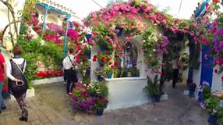 Patios Festival of Cordoba