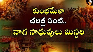 The Story Behind Maha Kumbha Mela | Secret Behind Naga Sadhus Arrive At  Kumbh Mela|Socialpost