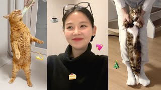 김망고 직립쇼🧀 줄기세포 치료 후기, 브레빌 구매⚙️ 연말 선물과 외식🍽️ vlog