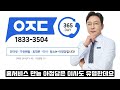 원피스 최종장 환수종 열매의 강함