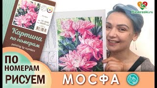 Раскраска по номерам МОСФА! Рисовать просто! Обзор картины перед началом раскрашивания!