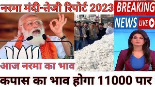 cotton Mandi teji report 2023 | aaj narma ka bhav | kapas ka rate today | cotton price today