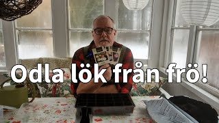 Förkultivering lök