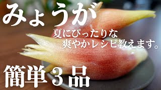 【みょうが大量消費】迷ったらコレ！絶品レシピ教えます。