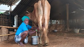 Work Routine Of Daddy|அப்பாவின் தினசரி வாழ்கை முறை|Idhu Namma Route. #tamil#vlog