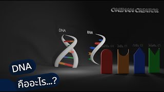 DNA คืออะไร..?