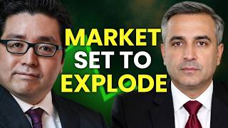 Tom Lee: "Everyone Thinks This Is The Top..." (3 High Growth AI Stocks to BUY Right Now)