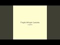 Fragile Whisper Cascade