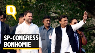 The Quint: Akhilesh-Rahul Roadshow in Agra: Duo Promises to Work in Tandem