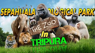 ত্রিপুরা ভ্রমণ || SEPAHIJALA ZOOLOGICAL PARK || সিপাইজেলা চিড়িয়াখানা#tripura