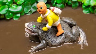 Koi Fish Parents Take Care Of Baby Yellow Monkey And Battle With Frog -Primitive Cooking Stop Motion