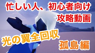 【忙しい人、初心者向け】光の翼全回収🌟孤島編【Sky攻略】