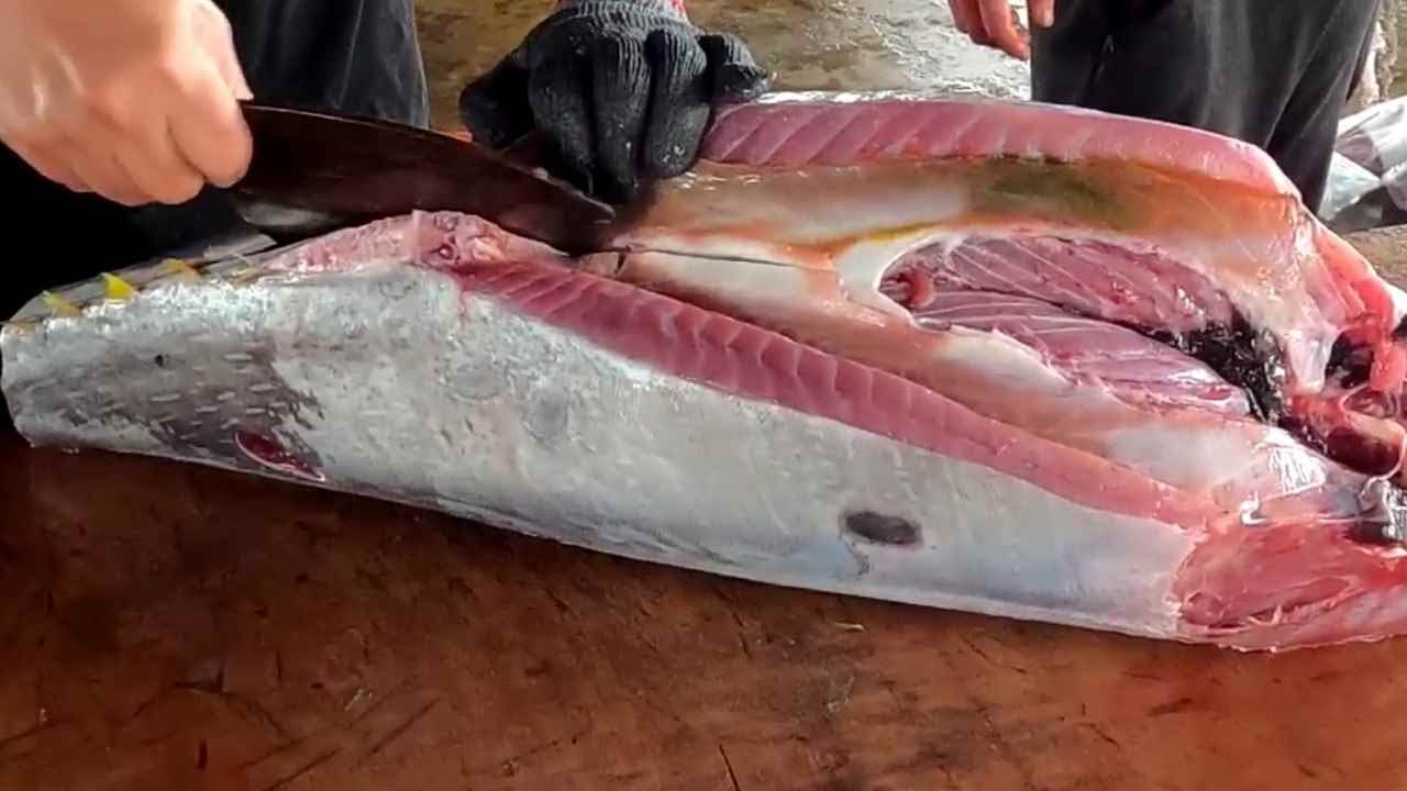 Sharp Knife Cuts Big Yellowfin Tuna Into 4 Pieces Youtube