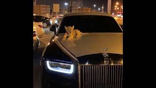 KING and MUSIC РОЛС РОЙС И РОЛЕКСЫ (ROLLS ROYCE AND ROLEX)