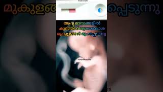 ആദ്യ മാസങ്ങളിൽ കുഞ്ഞ് ശ്വാസമെടുക്കുന്നത്.. 🤰🤰#pregnancy #baby #shorts #short