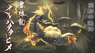 【モンスターハンターライズ_MHRise】集会所　上位緊急クエスト　ナルハタタヒメ　ソロ討伐