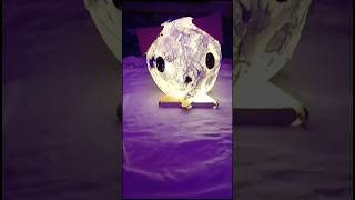 Diy moon lamp ||3d paper lamp||മലയാളം #diy #cute #moonlamp #shorts #papercraft #craft #malayalam#art