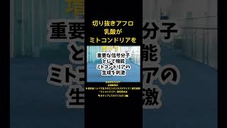 乳酸がミトコンドリアを増やす！切り抜きアフロ　#出雲駅伝#マラソン#大井川マラソン