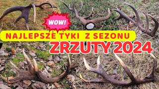 NAJLEPSZE TYKI 2024 - ZRZUTY JELENI -podsumowanie sezonu #zhody #deer #nature #poroże #las #wildlife