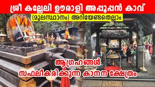 ശ്രീ കല്ലേലി ഊരാളി അപ്പൂപ്പന്‍ കാവ് മൂലസ്ഥാനം || KALLELI OORALI APPOOPPAN KAVU KONNI PATHANAMTHITTA