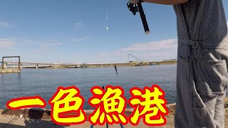 【一色漁港】釣り/ハゼ釣り/愛知県/西尾市/一色/さかな広場/ハゼ