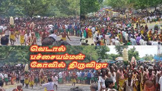 ஆடி மாத திருவிழா வெடால் பச்சையம்மன் / vedal pachaiyamman festival #festival