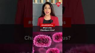 What Is The Chandipura Virus?