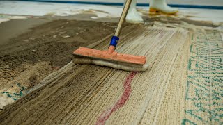 Extremely Dirty Carpet Cleaning - What's Underneath All That Mud? - Satisfying Videos