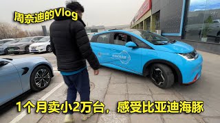 周奈迪vlog | 经济实惠型的电动车 试驾体验比亚迪海豚| BYD | CAR | new energy car | Electric Vehicle | Made in China|dolphin