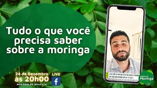 Tudo o que você precisa saber sobre a moringa