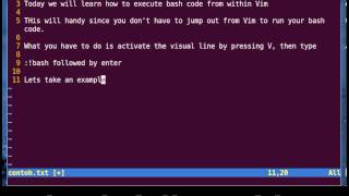 Vim Tutorial - Execute Bash Command from Vim Directly