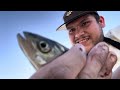 chicken liver vs ￼anchovies at the california aqueduct