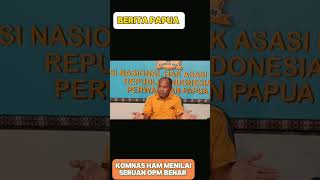 INFO PAPUA: KOMNAS HAM MENILAI SERUAN TPNPB OPM SUDAH TEPAT