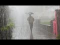 Enjoy the rainy atmosphere in a remote village in Indonesia | Monsoon season in rural Indonesia