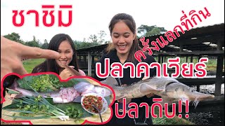 สองอ้ายน้องพากินEP.41 ชาชิมิปลาคาเวียร์ครั้งแลกในชีวิดที่เคยกิน ກິນປາຄາເວຍຈ້ຳແຈ່ວສົ້ມຄັ້ງແລກໃນຊີວິດ