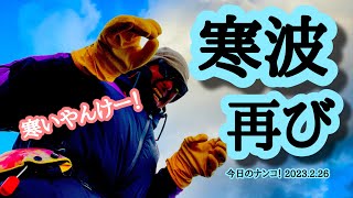 【今日のナンコ！2023.2.26】寒波再び【琵琶湖バス釣り】