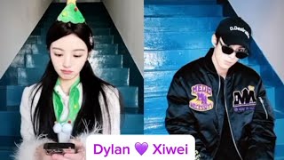 The harmony of Dylan Wang and Tian Xiwei