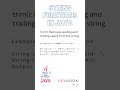 String Functions in Java : Trim Function